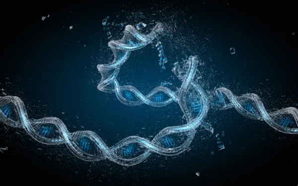 Mangel på magnesium øger risikoen for DNA-skade