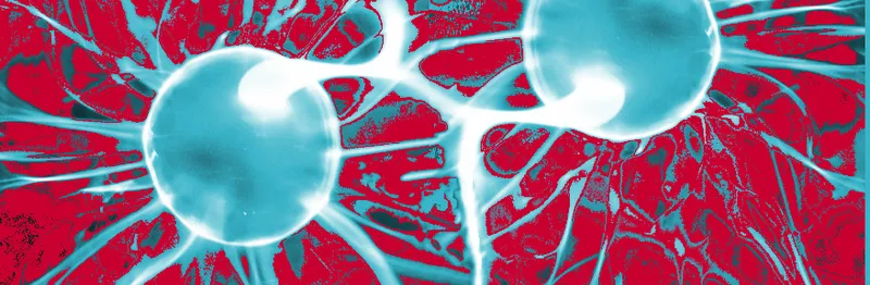 Hvad er oxidativ stress?