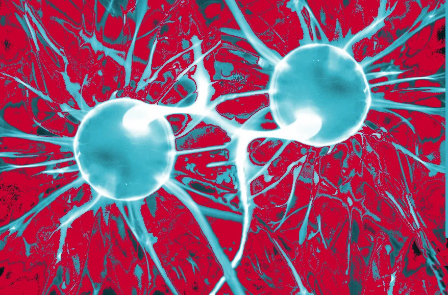 Hvad er oxidativ stress?