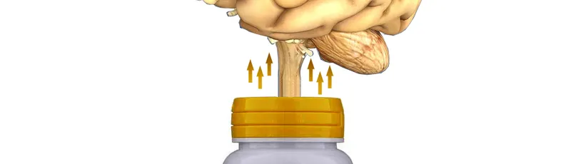 C-vitamin til hjernen