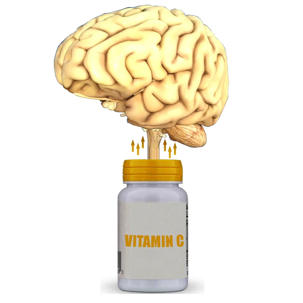 C-vitamin til hjernen