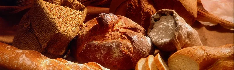 Gluten – et misforstået stof