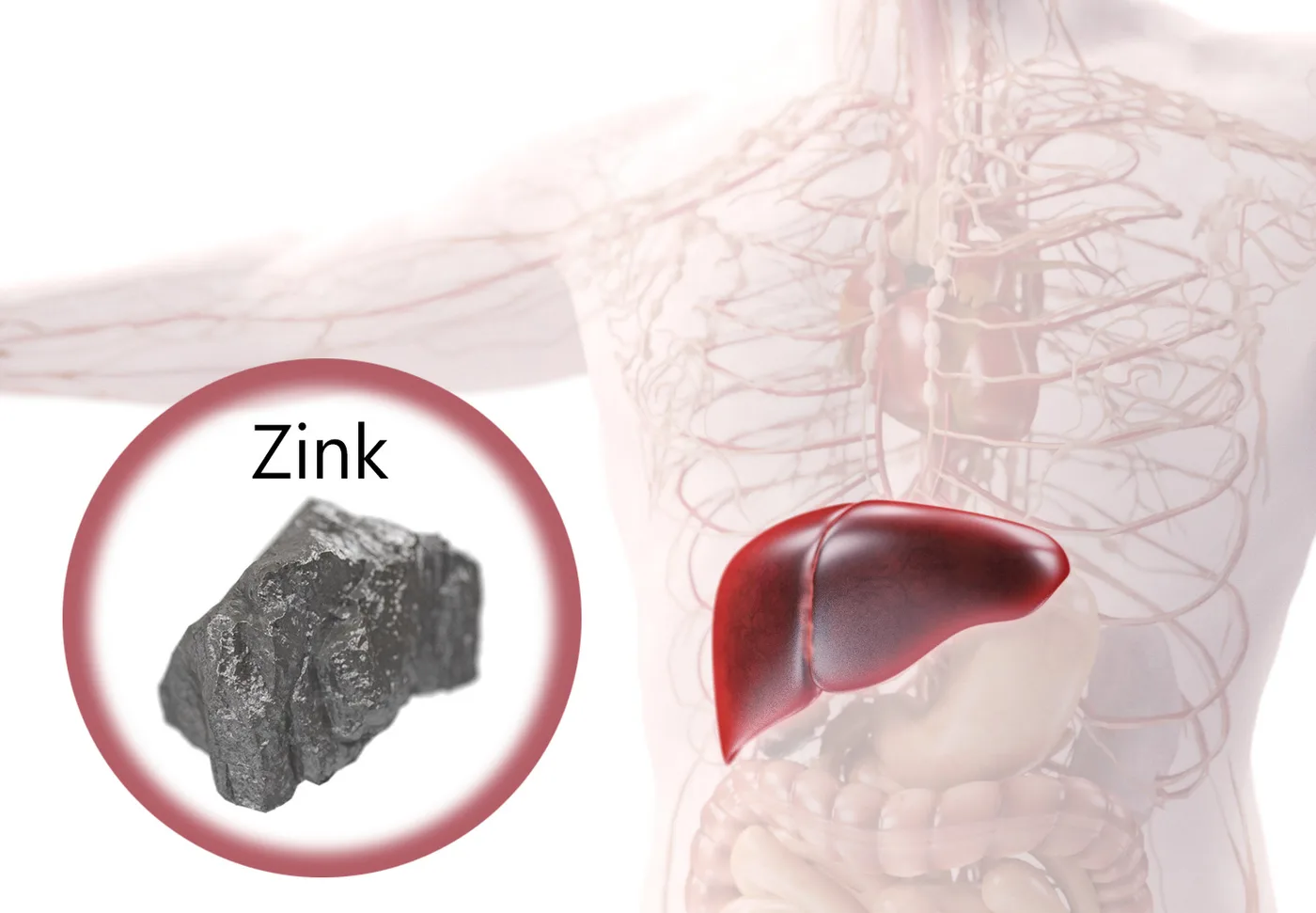 Zink beskytter leveren
