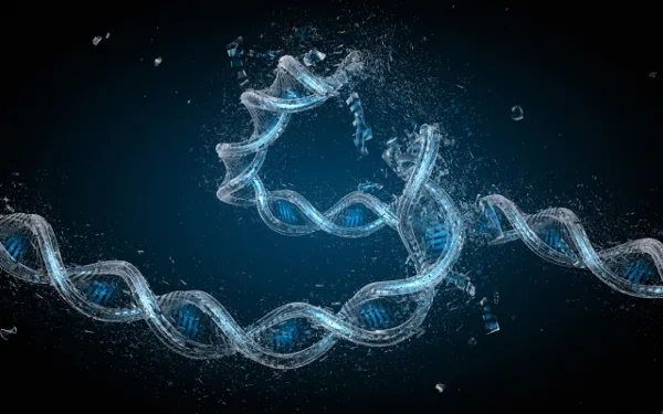 Mangel på magnesium øger risikoen for DNA-skade